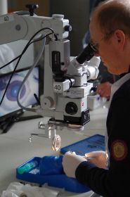 ppV Kurs 2014 Foto  mail. Strassburg@gmx (147).jpg