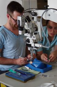 ppV Kurs 2014 Foto  mail. Strassburg@gmx (207).jpg