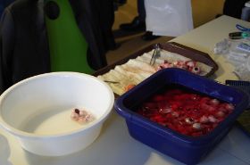 ppV Kurs 2014 Foto  mail. Strassburg@gmx (218).jpg